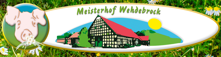 Meisterhof Wehdebrock, Hollwede